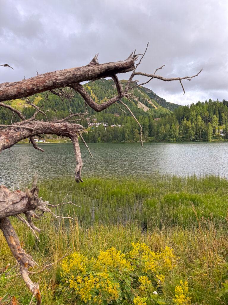 Turracher Höhe - Spaziergang um den See