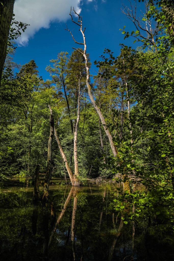 Briesetal - Outdoor-Abenteuer
