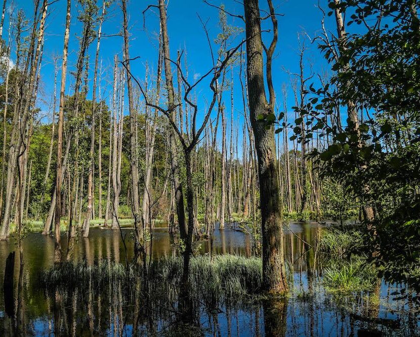 Briesetal - Outdoor-Abenteuer