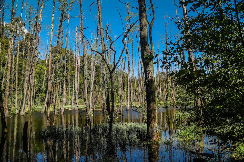 Briesetal - Outdoor-Abenteuer