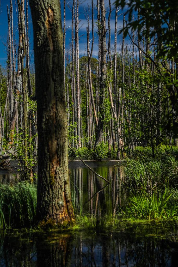 Briesetal - Outdoor-Abenteuer
