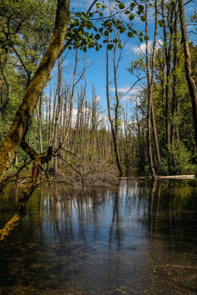 Briesetal - Outdoor-Abenteuer
