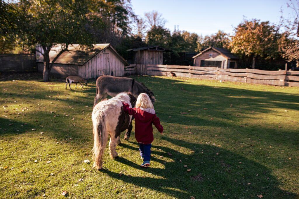 spreewald ausflüge berliner umland